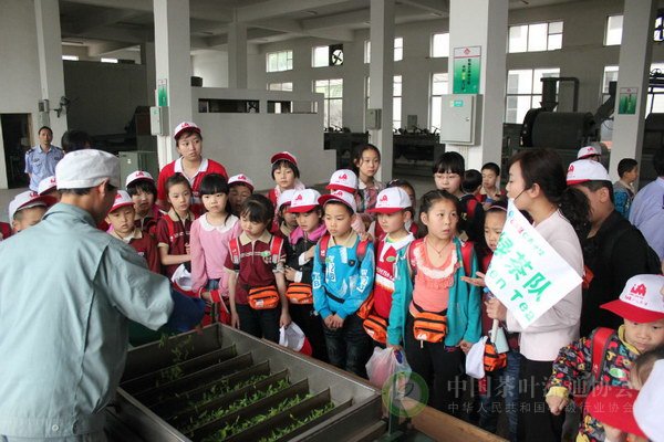 global_C60E4A97-0E77-A8B2-DA75-7BD0ADD55