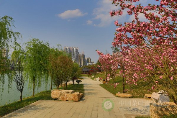 global_4B9579DD-4A0E-4D12-78F1-7DF91E1BD