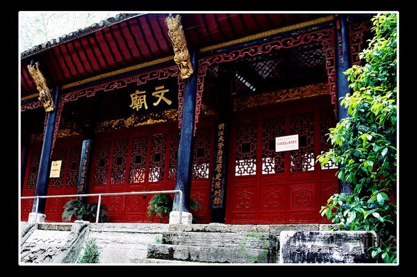 global_0B2DDAA3-9D28-04E5-6D33-1CECAF47F