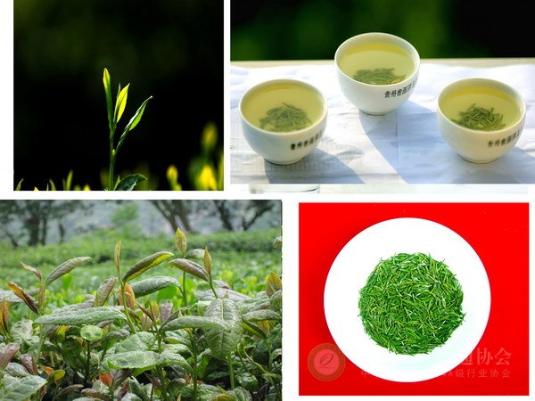 global_7169FFA8-C23E-9B46-4E55-1FC1626FC