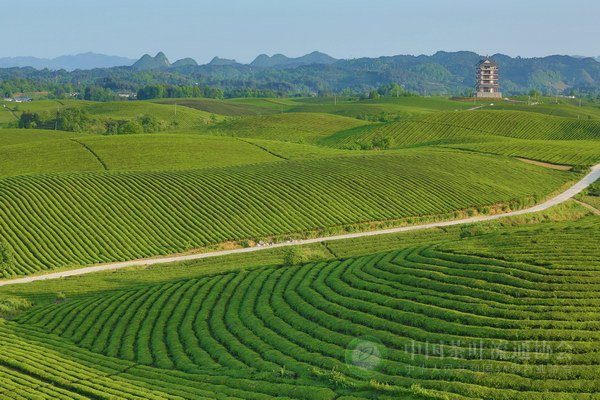 global_138AD710-CCCD-F4E1-B729-021264BFE