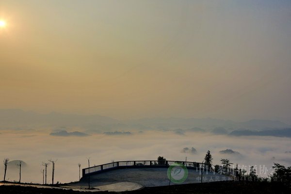 global_FFE331E6-1CDC-318D-71B1-1D74C7241