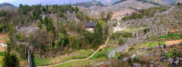 global_FE66F76B-8B3B-2781-08D2-C4A350045