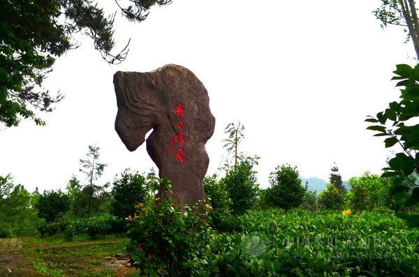 global_24BDBD14-CE63-89EB-AEAE-8296FD07E