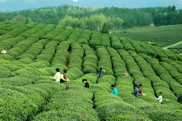 global_D624592C-852B-2FAF-5904-70682C25F