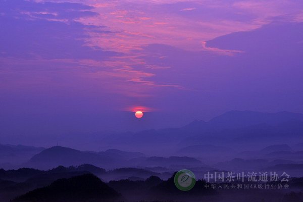 global_6122043E-32FD-F3D7-47A0-955112756