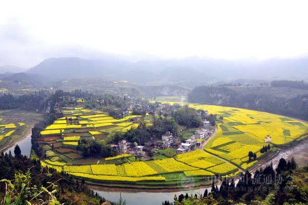 global_01D55162-108B-0CCD-B85E-F92ACB312