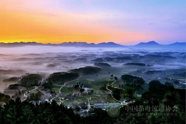 global_10AEFBF3-5F9E-4835-ECF1-ECA9E7FD6