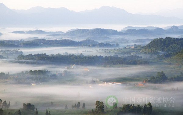 global_4BDF458C-9758-5B2C-4C8F-F9D5F6A1F