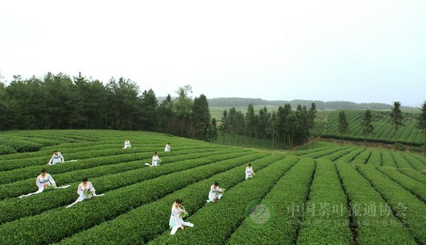 global_5AE89686-6B27-A590-C49D-C8E0602C8