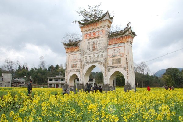 global_CE9BB917-222D-0DE5-4622-61CB4D92D