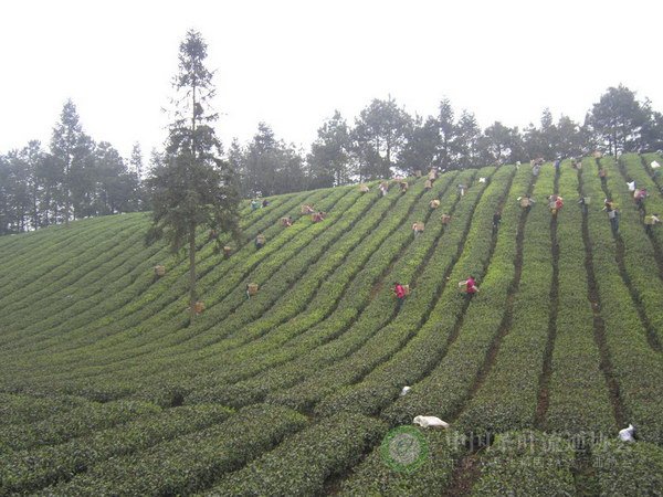 global_304CE938-71A2-B7A9-3F38-DCAAE6325