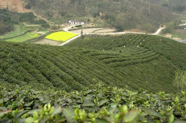 global_D6DD7E2B-A106-ECD4-87FE-93DE87E43