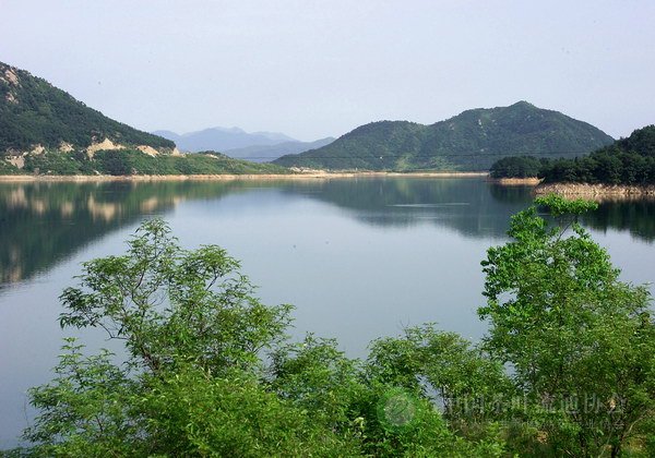 global_95497296-9B07-0E44-7F43-8A00F9395