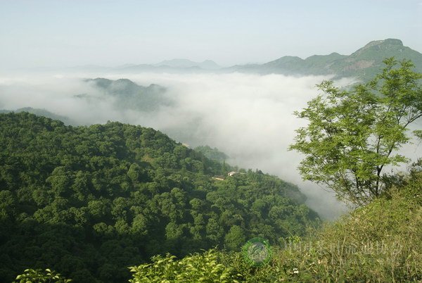 global_304ABC48-0B7D-402C-8ADF-0DA3927FC