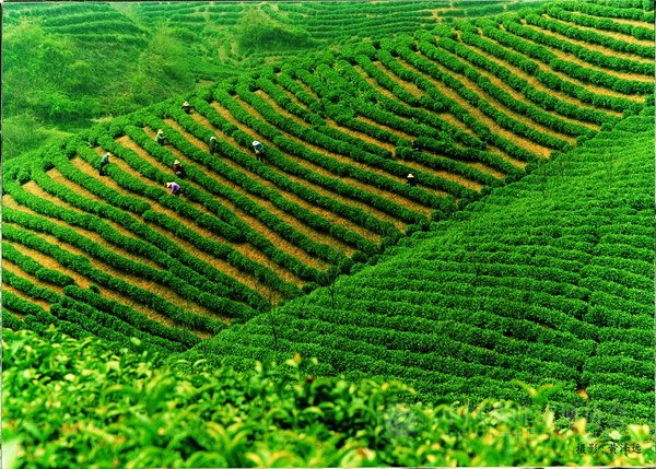 global_06AD96ED-278B-F6C0-9ECE-F58B62E47