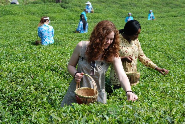 global_B8D5C89C-F129-45D3-F738-5C7D8F487