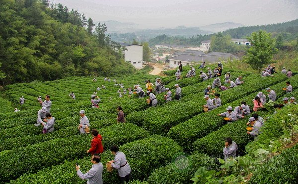 global_BF31FDE2-75D4-86DE-BD04-15A12ED27