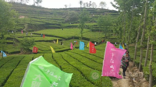 global_CD78E679-E9B6-535A-21E5-814A89573