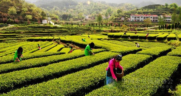 global_2C0BF6A8-3AFC-34B4-DED2-D83FE82EC