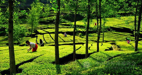 global_1934CFF6-5563-0C9E-9DE9-59D59312E