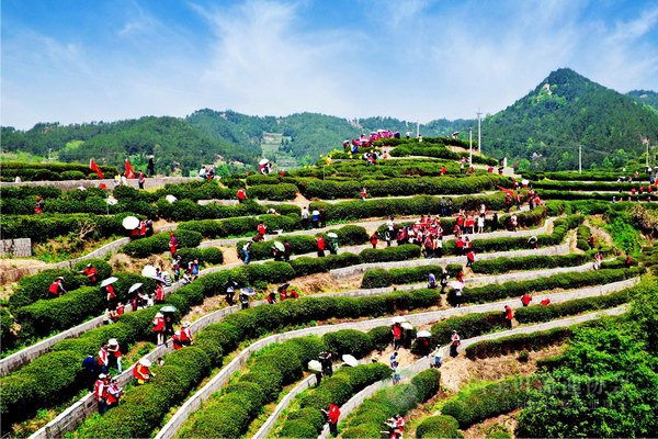 global_7AD8A21A-550E-820B-DBA4-EC1F59FA2