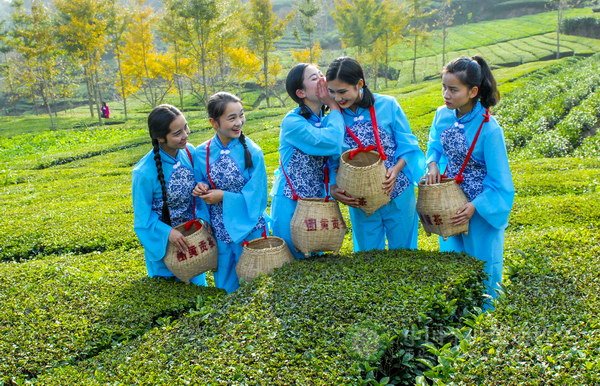 global_A68A714E-4210-F66A-56C1-19373F84F