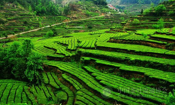 global_469587FF-0499-2021-841B-96B00208E