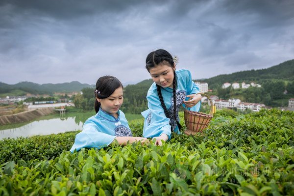 global_BC048492-6CE7-CECD-107E-2A5BA0ABF