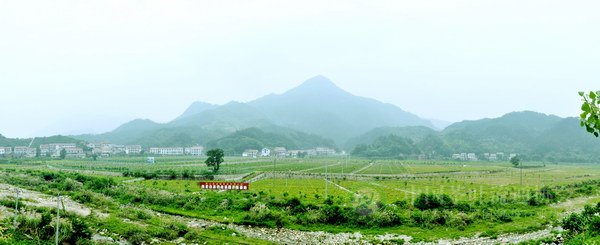 global_514C2606-D84B-D575-1713-A64914F21