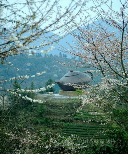 global_86445B1C-2CEC-1873-A484-E3E06C7A0