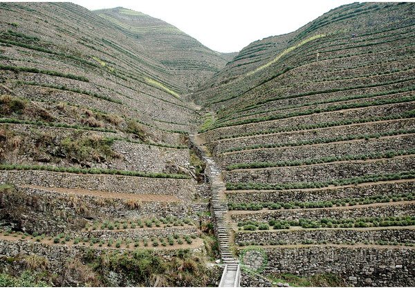 global_347EC6AC-2CE7-BD08-D0FF-06BC53EB0