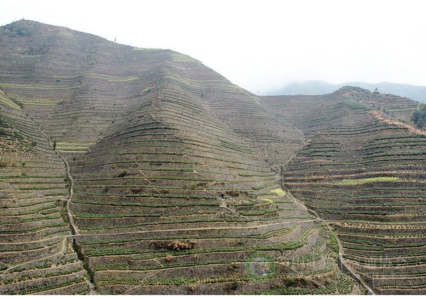 global_5959530C-2133-A1FE-F71B-CEF0D6CA5