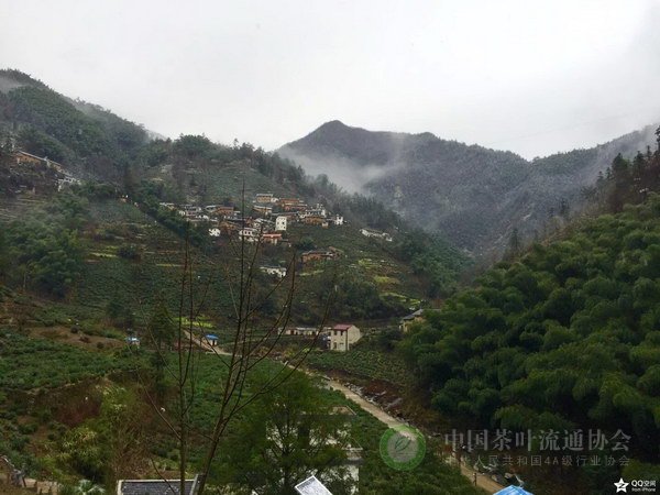 global_C61ACFAA-BFB4-B7B2-BE59-BCB460346