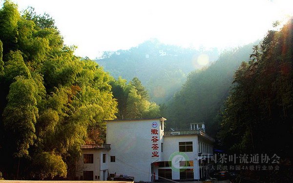 global_1EA9C2C7-AF3D-B829-5F3E-0E7057493