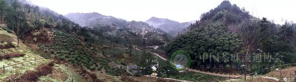 global_65D0C813-E847-1D39-5E48-D049E2500