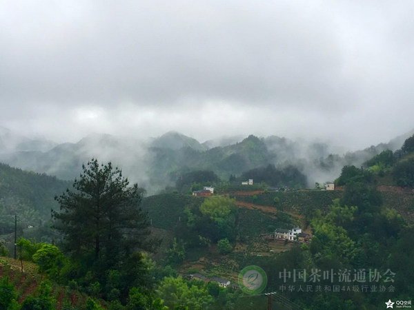 global_A90F14A2-CD6A-94F4-0FCB-3624F1E41