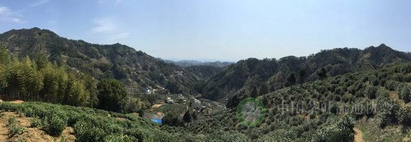 global_1B996DD0-84AE-63E1-9B3B-42D4D8E6B