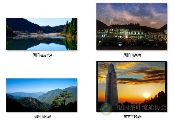 global_36FABC69-9582-42F8-6F1B-D78542E90