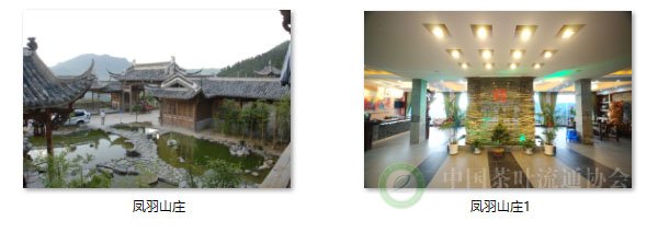 global_7C56793C-CDFB-8B51-1C6A-DEFC33520