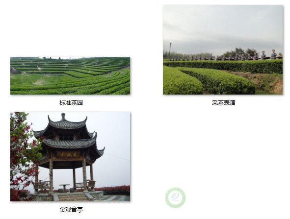 global_D7E02FC7-4195-DA01-26AC-7B462DEE8