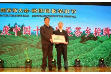 第十届中国茶商大会·松阳银猴茶叶节隆重开幕