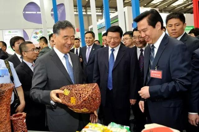 湖南省白沙溪茶厂股份有限公司参展2017年丝绸之路国际博览会暨第21届中国东西部合作与投资