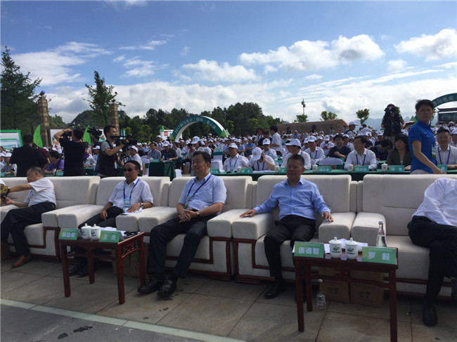 “让世界品味都匀毛尖” 2017都匀国际茶人会盛大开幕