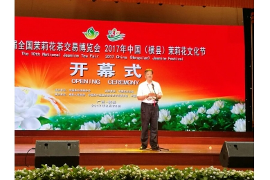 第十届全国茉莉花茶博览会、2017年中国（横县）茉莉花文化节开幕