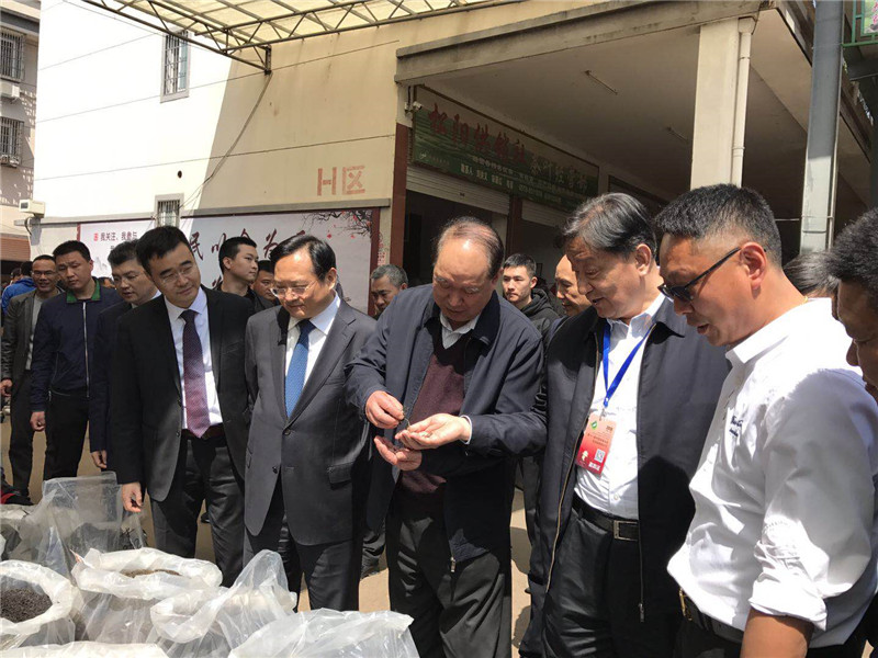 绿色兴茶 品质为先——第十一届中国茶商大会·松阳银猴茶叶节成功举办