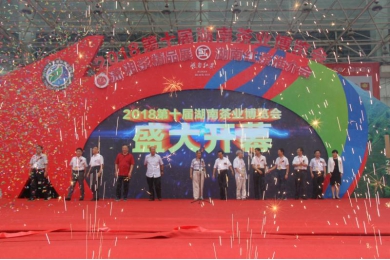 2018第十届湖南茶业博览会在长沙开幕