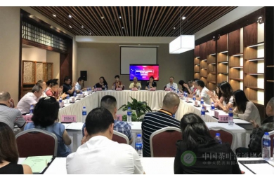 中茶协国际交流工委会第二届二次会议在广州成功举行