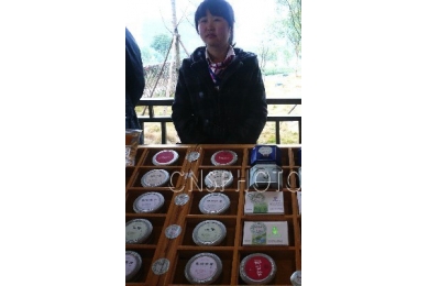 2013中国(成都)采茶节在蒲江成佳镇开幕(图)